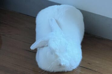 We used a square tin today.