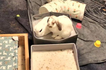 Sure, just flop down anywhere