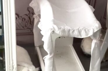 Canopy beds are comfortable, but not as comfy as that sweet sweet floor ☁️