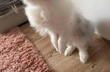 He says hi to all of you 💖