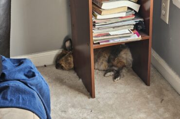 What happened to his neck?