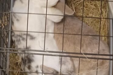 Best thing for a foot rest?