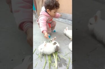 cute baby with cute bunnies #cute #baby #cutebunny #viral #rabbit #arabic #love #rabbite #shorts
