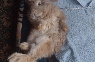 He stayed like that for two hours.