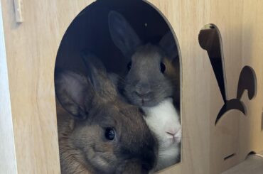 have i interrupted something?