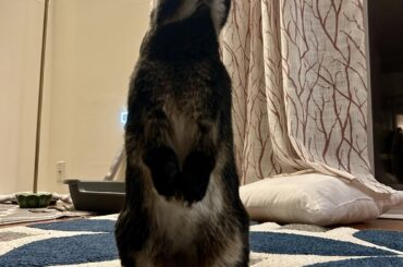 Reaching for the stars ✨