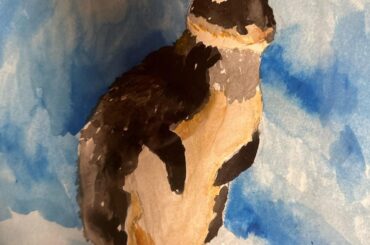 Basil my daughters Muse