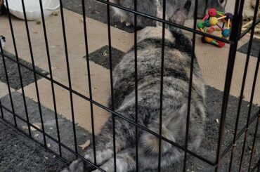 Do you tickle or show resistance? 🤭