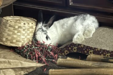 She stayed like this for over an hour…