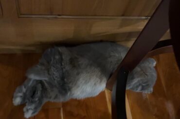 This cannot be comfortable 😭