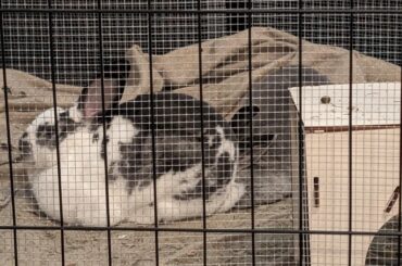 She actually pushed her face there