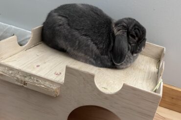 A loaf baked on a castle