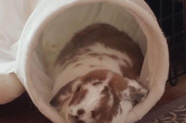 My neck hurts just looking at him