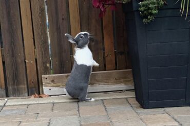 Almost tall enough to get a taste