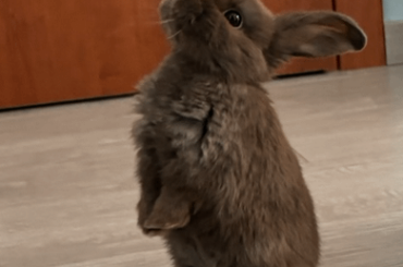 Periscope mode (almost) always on