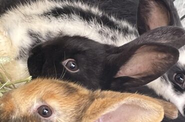 Best photo dump ever