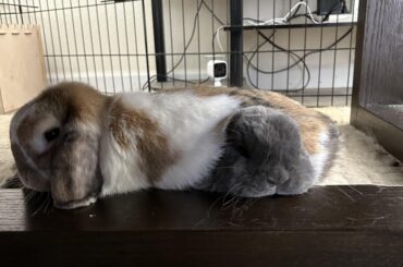 Zero respect for personal space