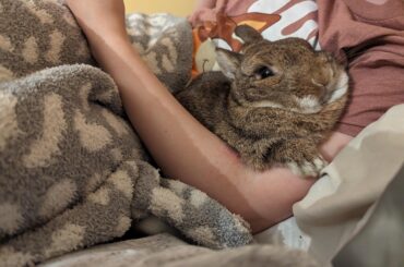 Bob Ross squashed and sleeping with his eyes open. His neck is at such an unnatural angle and his other arm is tucked to his side. How is he sleeping??