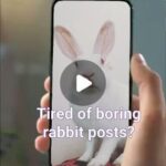 Tired of boring rabbit posts?