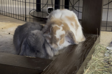 I’m just gonna scootch in here…