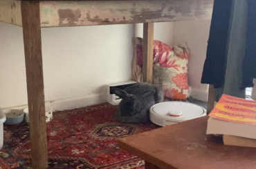 His new favourite spot 🙄