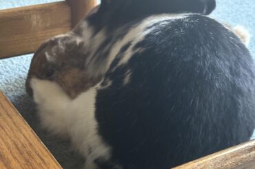 This seems like a good place for my feetise