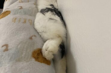 Not a couch potato, more like a couch… sandwich?😂