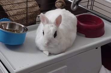 A loaf with one teeny tiny foot
