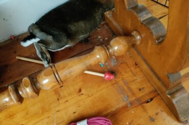 Between the wall and the desk