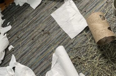 Now why would you go and do that?