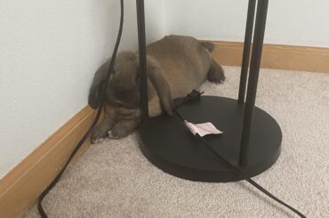 so many places but this is a perfect fit