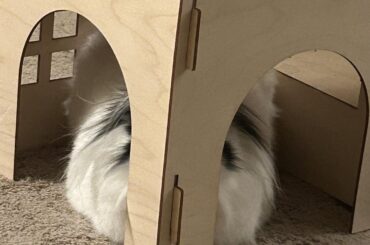 Why? It’s her fave