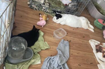 I promise she’s not dead