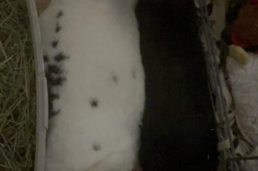 Momma looks I made a friends