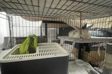 Apparently supporting wire makes a good headrest 🤔