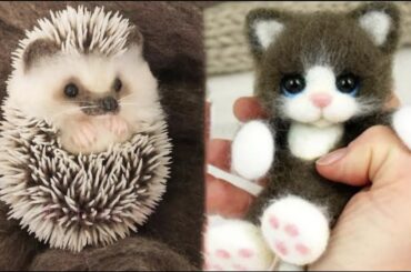 Cute Baby Animals Videos Compilation | Funny and Cute Moment of the Animals #32 - Cutest Animals