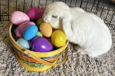 you want to sleep there?