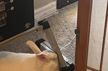 She just doesn’t look comfy