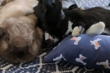 I guess she's in the bed, but...