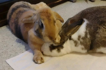 No respect for personal space!