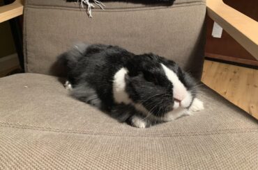 A E R O D Y N A M I C