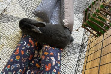 Maybe we’ll get her a third one for in between…