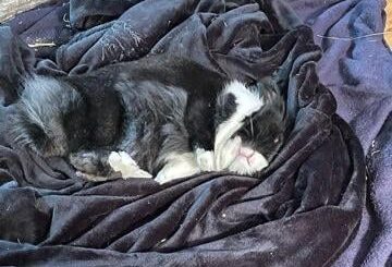 Couches, beds, carpet is a no go. Blankets on the hard floor? Big yes!