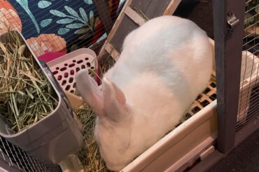 He fell asleep on the toilet 🥹