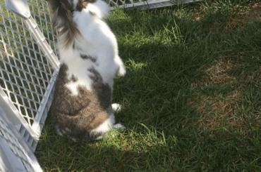 Enjoying this weather!