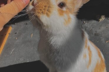 Such a friendly little fella.