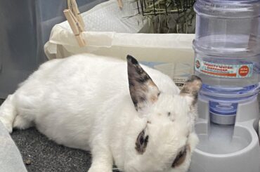 I guess the bowl was super comfortable 🤷🏽‍♀️🥹