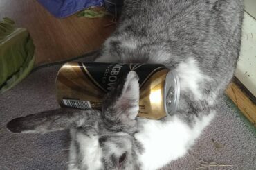 Pass us a cider please Graham, cheers mate.