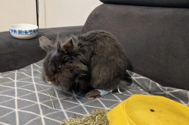 He was on the sofa for two minutes and then...