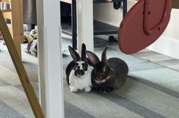 The closer together the warmer